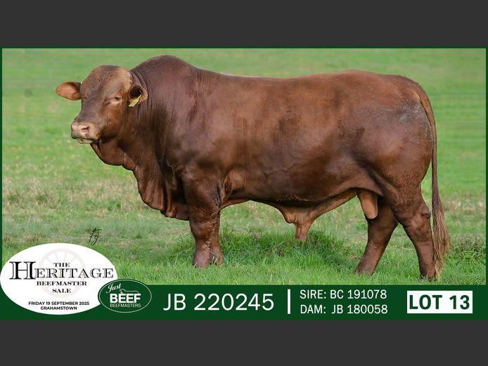JB220245 | SUPER PRO DAIRY