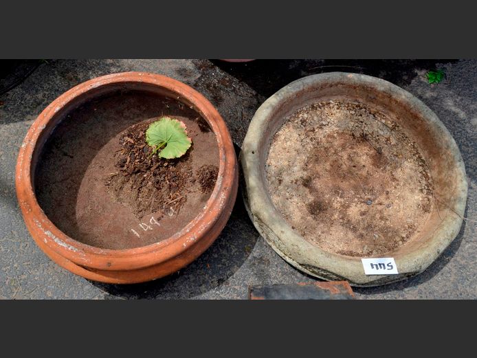 TERRACOTTA PLANTER & A CONCRETE PLANT TRAY, 52cm Diameter & 45cm Diameter