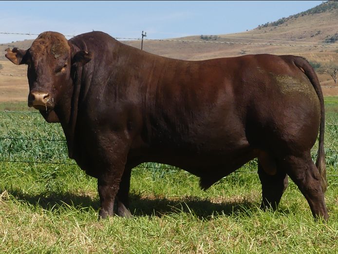 LAR 230071 | UP GEORGE FARMS CC