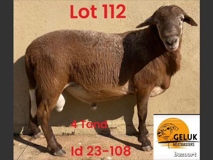 23-108 GM3 | GELUK MEATMASTERS