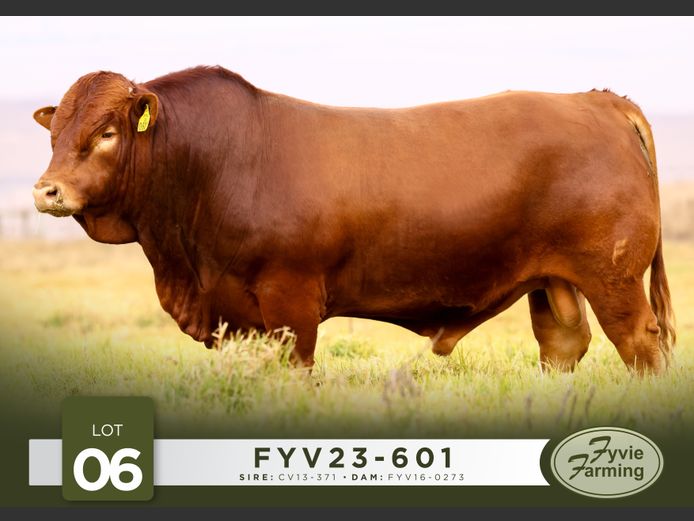 FYV23-601 | Fyvie