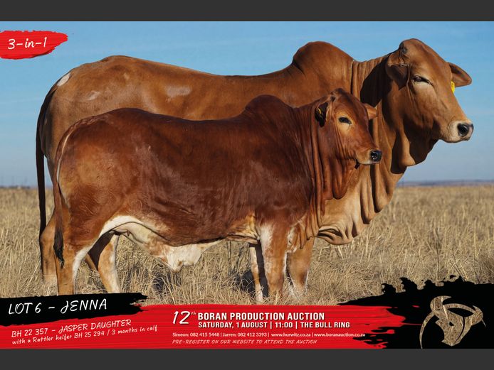 BH 250294 | HURWITZ FARMING