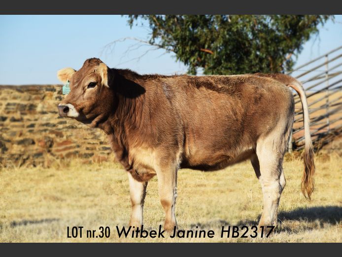 HB 230017 | JJ BESTER EN DOGTERS