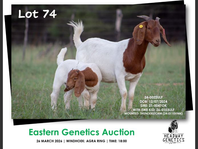 24-0022ULF | HEADWAY GENETICS