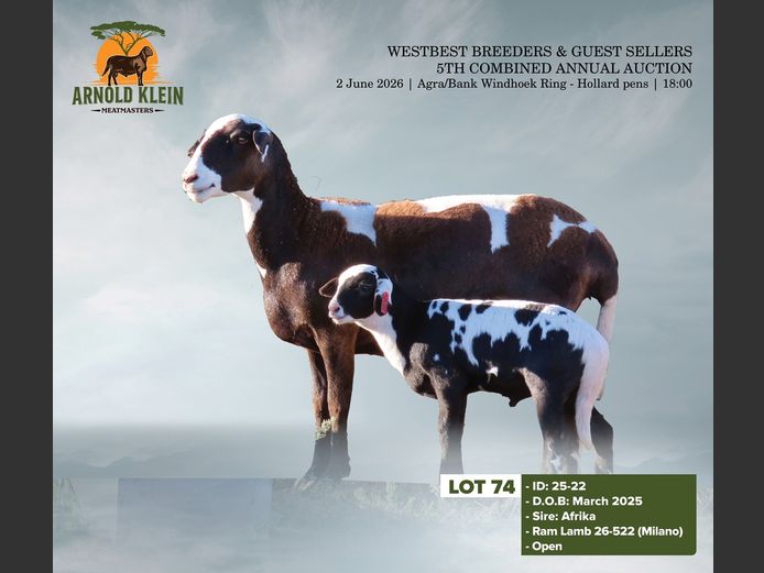 25-22 | Arnold Klein Meatmaster