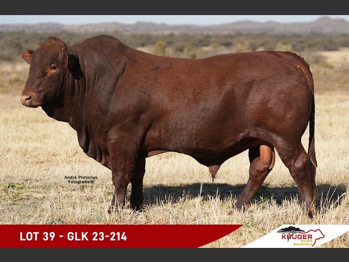 GLK230214 | KRUGER GLEN BONSMARAS