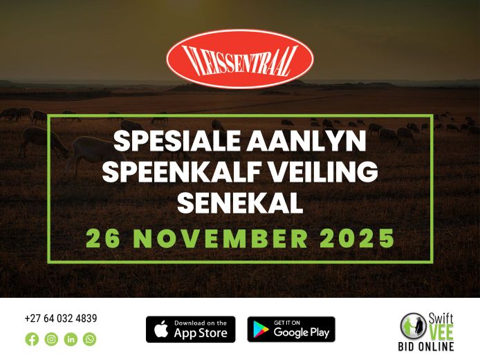 SPESIALE AANLYN SPEENKALF VEILING   SENEKAL