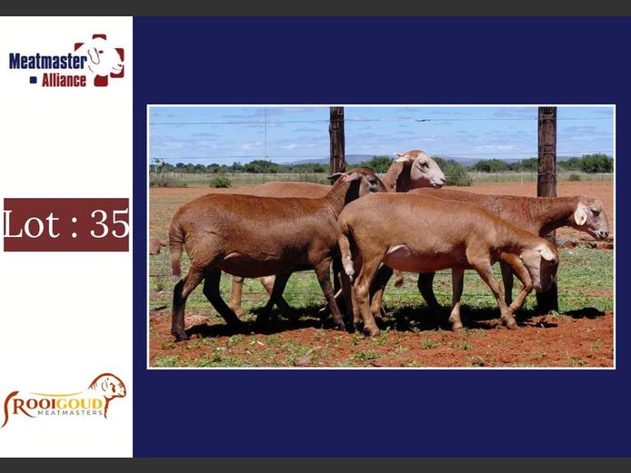 Ooie | Rooigoud Meatmasters