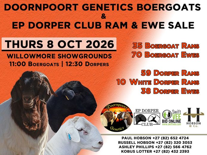 DOORNPOORT GENETICS BOERGOATS & EP DORPER CLUB RAM & EWE SALE