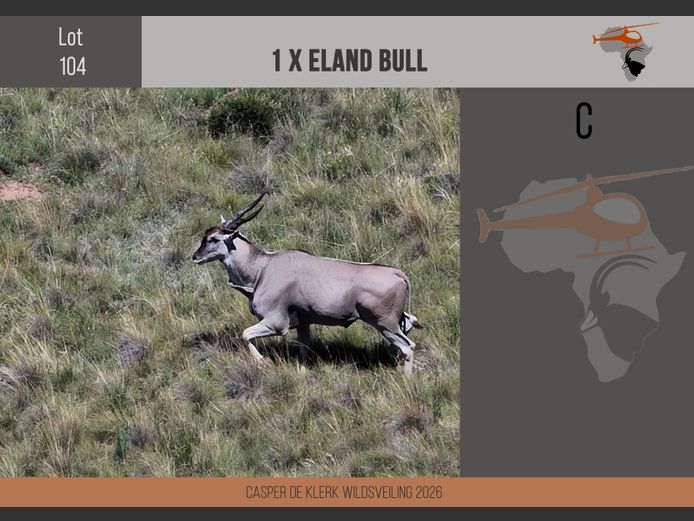 Eland