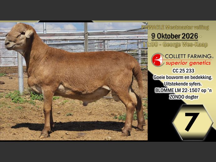 CC250233 | COLLETT FARMING CC