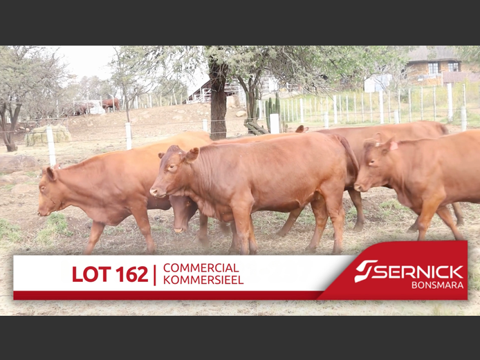 Commercial Animals