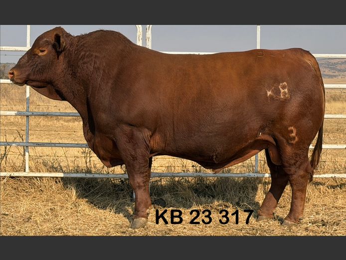 KB23317