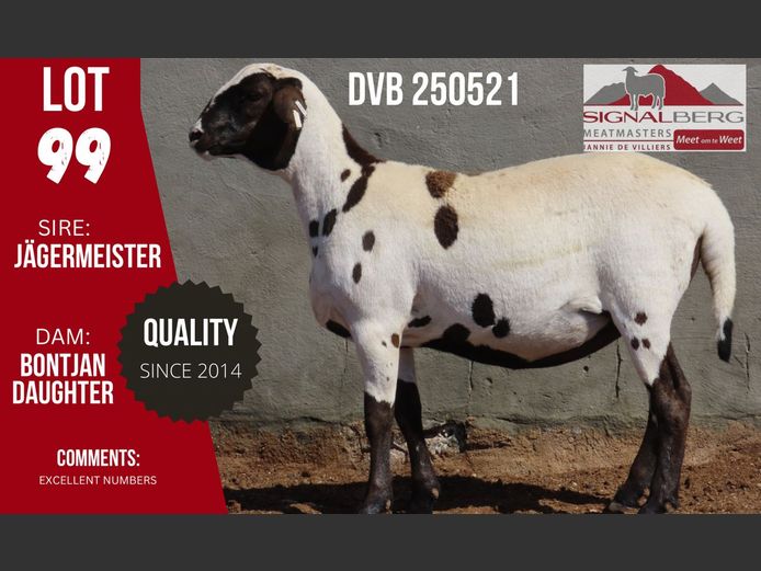 DVB 250521 | SIGNALBERG MEATMASTERS