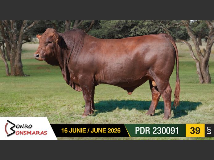 PDR 230091 | BONRO BONSMARAS