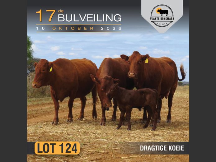 Commercial Animals | Harlou Familie Trust