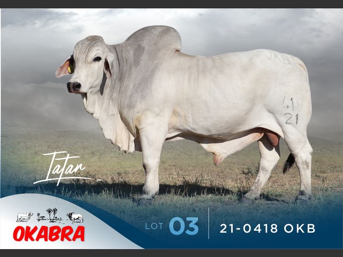 21-0418 OKB
