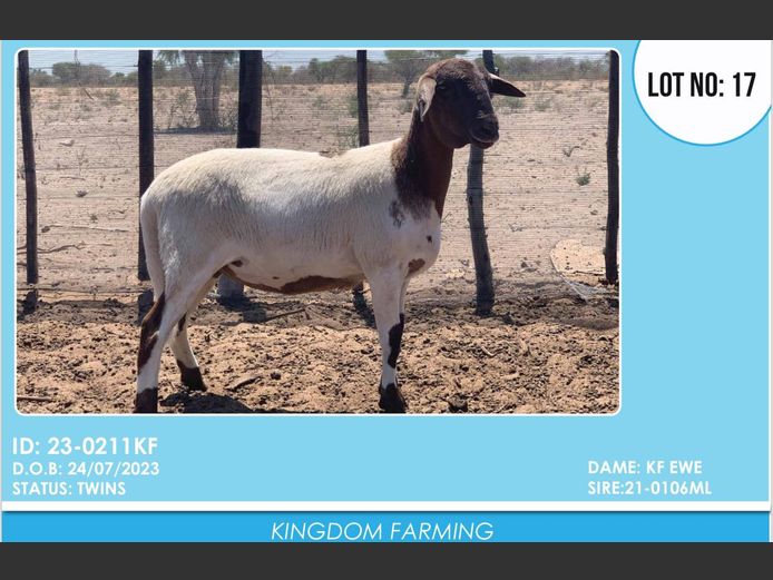 ID:23-0211KF| KINGDOM FARMING