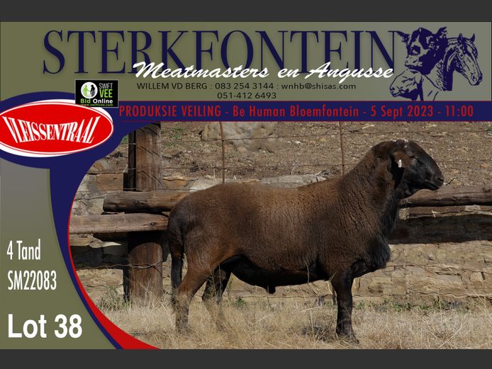 SM 22 083 | Sterkfontein Meatmasters
