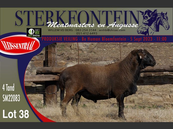 SM 22 083 | Sterkfontein Meatmasters