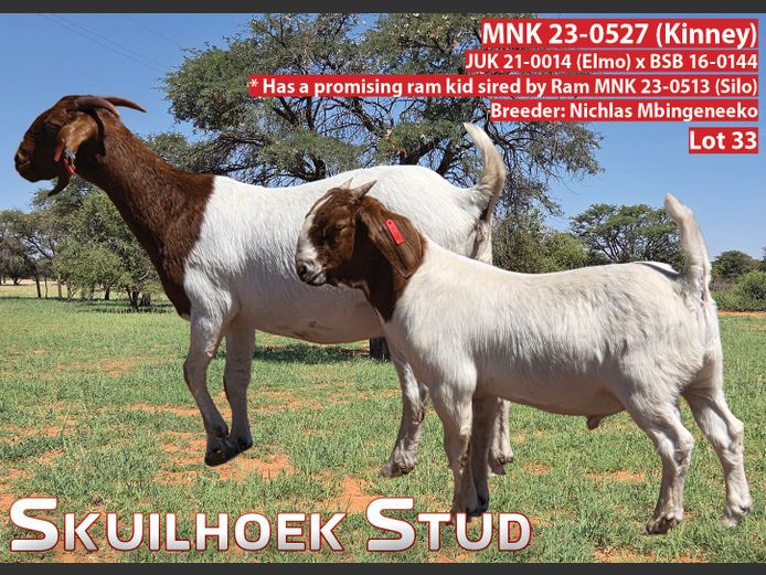MNK 23-0527 (KINNEY) | NICHLAS MBINGENEEKO