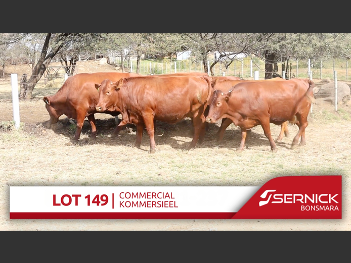Commercial Animals