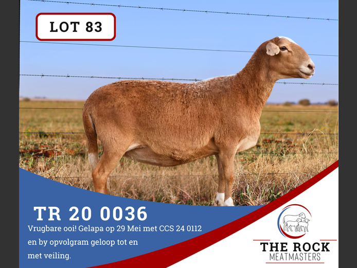 TR 20 0036 | The Rock Meatmasters