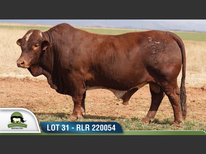RLR 220054 | RHENOSTERVALLEI