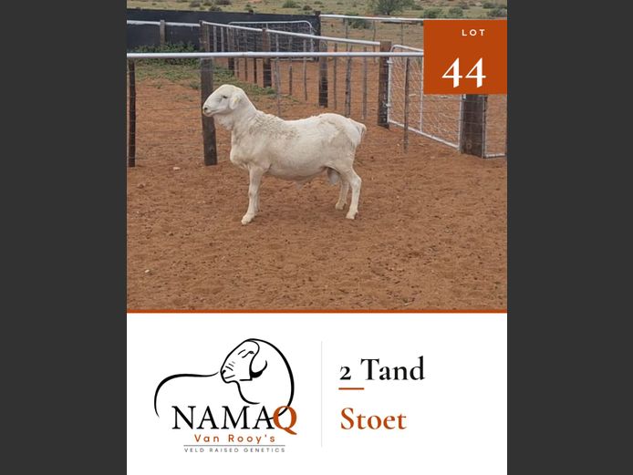 NAMAQ VAN ROOY RAMME