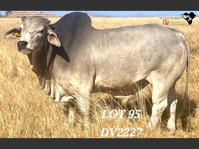 DV2227 | DE VILLE BOERDERY (EDMS) BPK