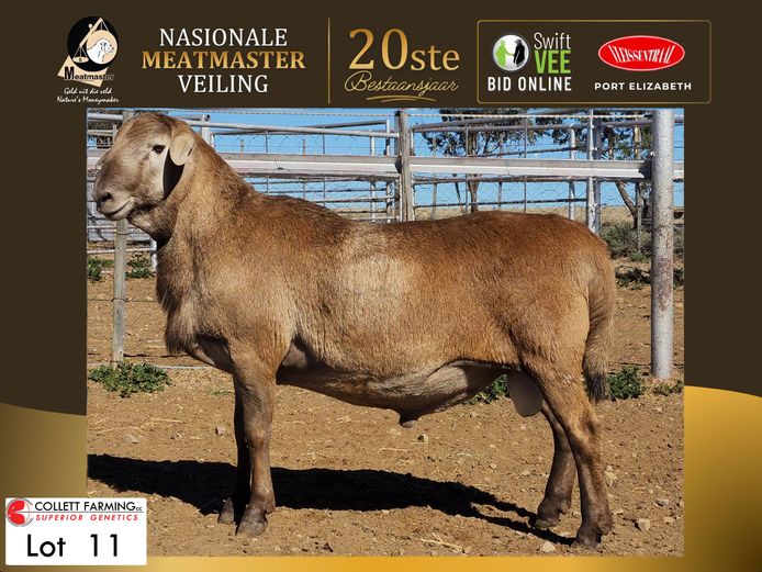 CC 250291 | COLLETT FARMING CC