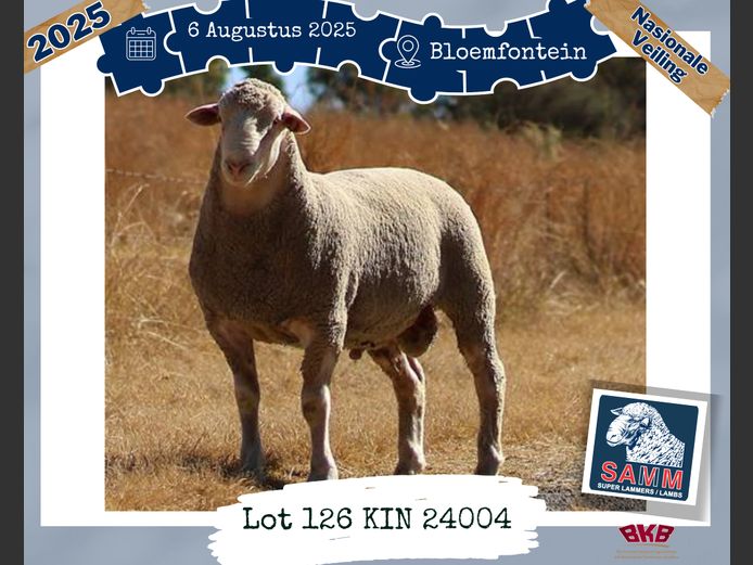 24-0004KIN | WILKINSON J J