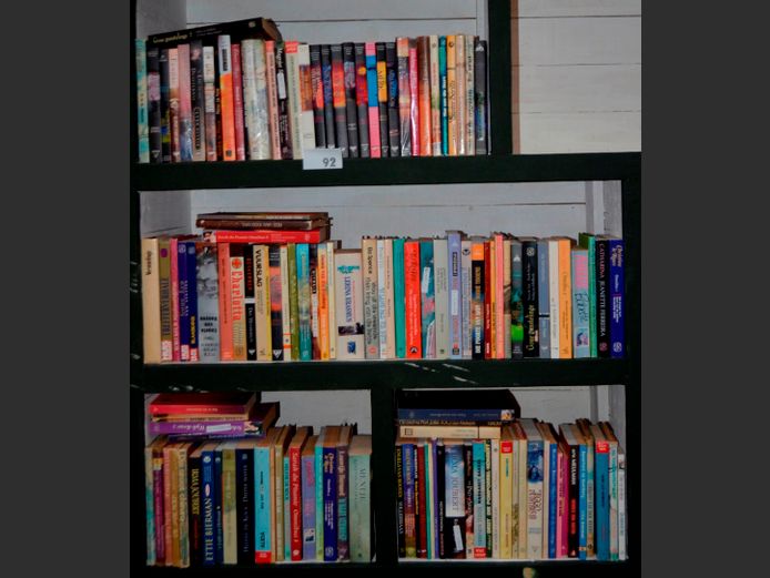 LOT ON 4 SHELVES: NOVELS
