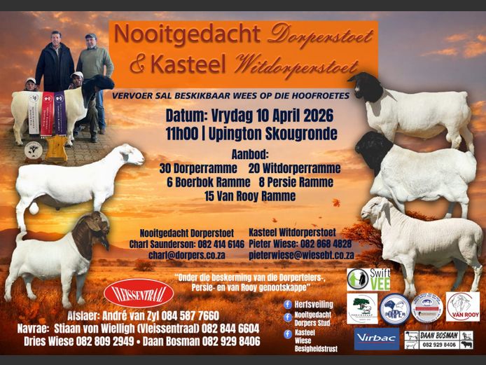 NOOITGEDACHT DORPER & KASTEEL WITDORPER
