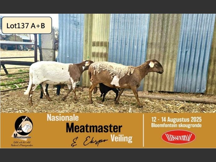KIM 24 0022 | P.J. Cronje - Kimonate Meatmasters