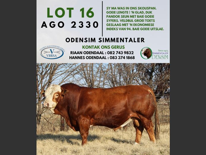 AGO2330 | AG ODENDAAL