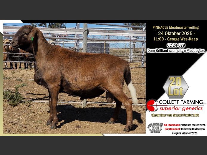 CC  240079 | COLLETT FARMING CC