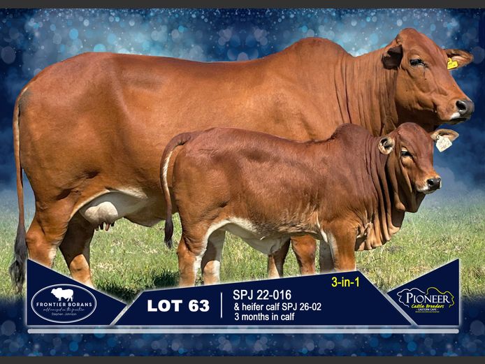 SPJ 220016 | S.P. JOHNSON