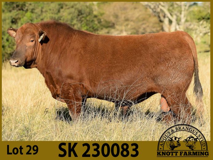 SK 230083 | KNOTT FARMING (PTY) LTD
