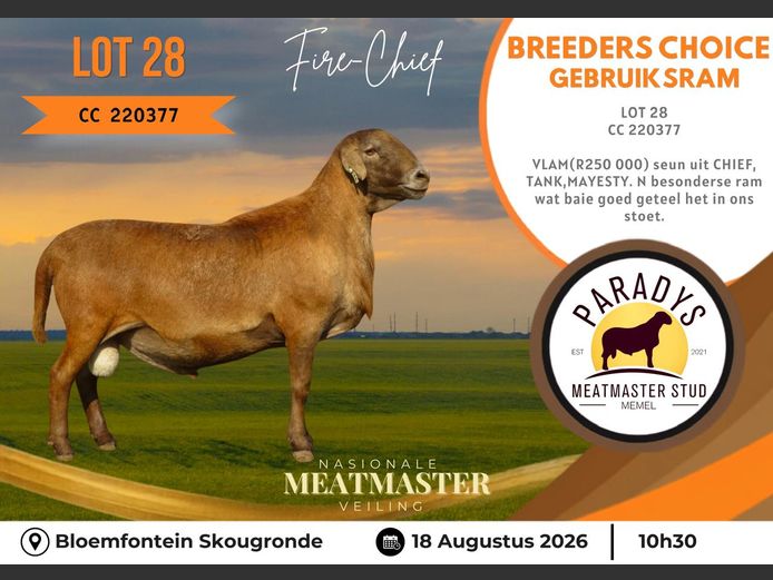 CC 220377 | PARADYS MEATMASTER STOET