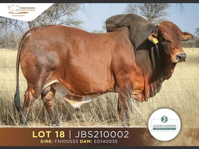 21-0002JBS | JACENI FARMING