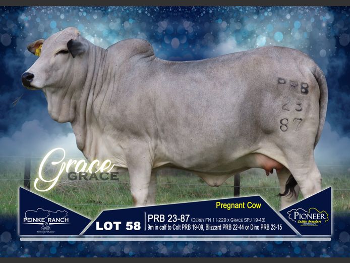 PRB 230087 | PEINKE RANCH