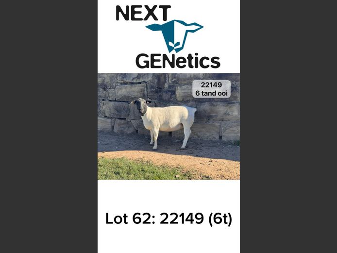 22149 | NEXT GENETICS
