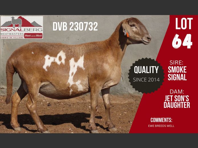 DVB 230732 | SIGNALBERG MEATMASTERS