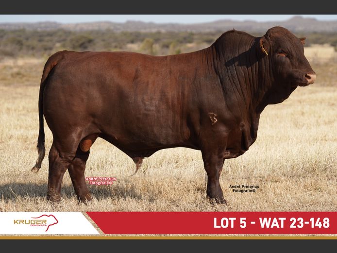 WAT230148 | KRUGER BOERDERY