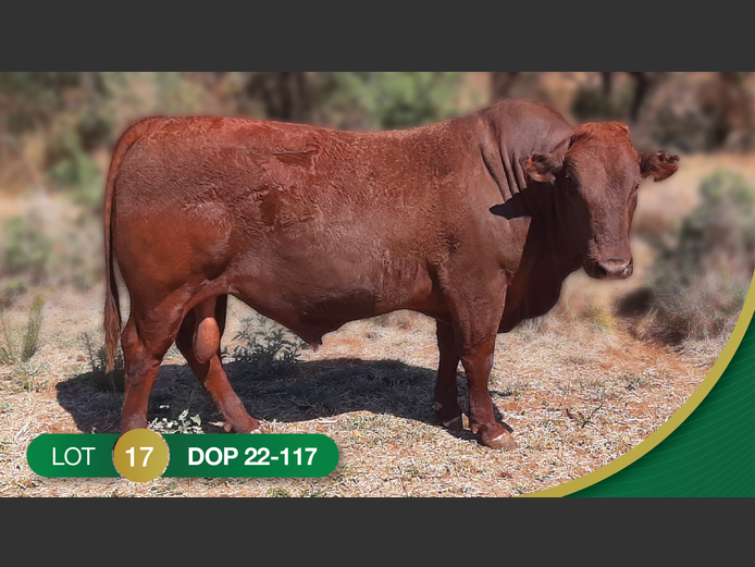 DOP 220117 | OPPERMAN DJE & SEUN