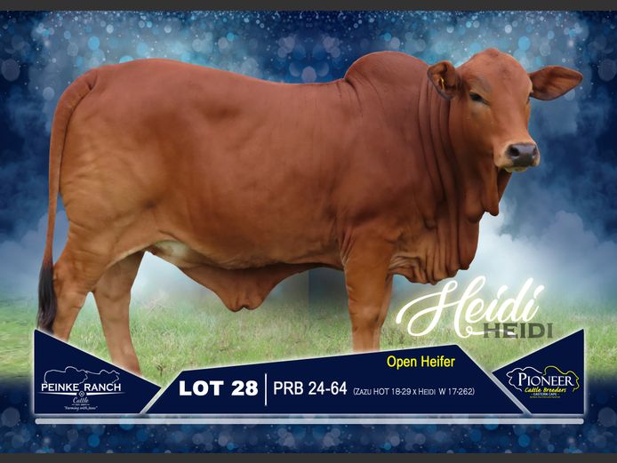 PRB 240064 | PEINKE RANCH