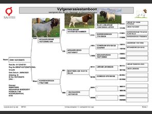 genetic_data