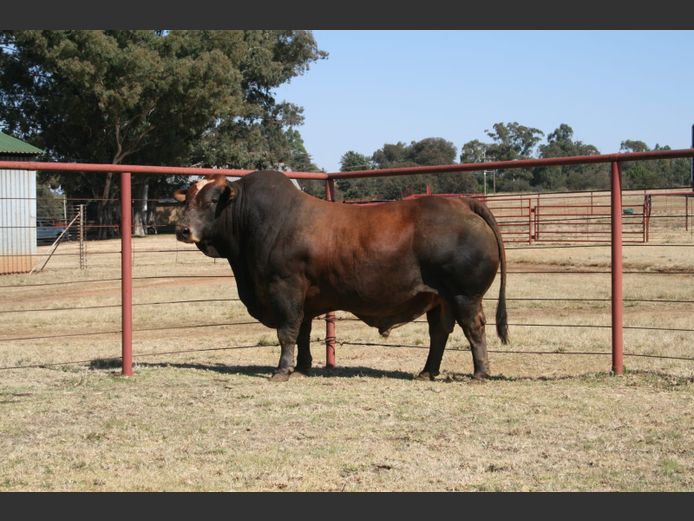 JMS20361C | WP LUBBE