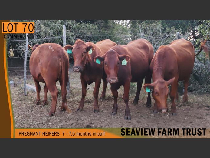 Commercial Animals | SEAVIEW FARM TRUST